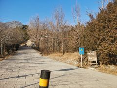 -阳台山自然风景区