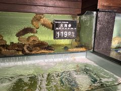 -浩运·海鲜青岛菜·海胆水饺(石老人店)