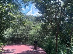 -敬亭山风景名胜区