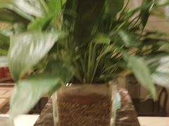 -小八仙·宴(三峡茶庄店)