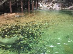 -祁门牯牛降观音堂风景区