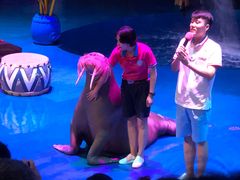 -烟台海昌鲸鲨海洋公园