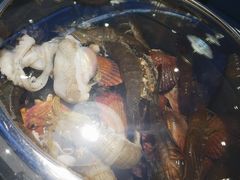 -大锅强·蒸海鲜青岛菜(金沙滩店)