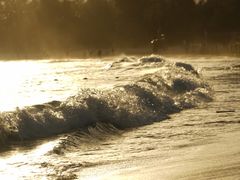 -西涌国际滨海旅游区