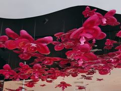 -大董(环贸iapm店)