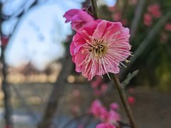 -艾山风景名胜区