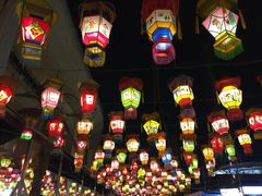 -锦江乐园舞狸花花游园会(夜场专享)