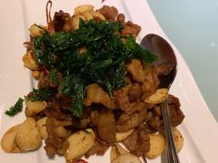 爆炒羊肉-胶东人家(奥体中心店)