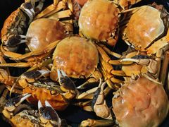 -忆口香龙虾(珠海夏湾老店)