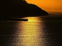 -北岐滩涂