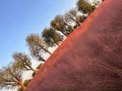 -汉长安城未央宫国家考古遗址公园