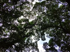-桂林独秀峰王城景区