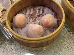-北海渔村酒楼·粤菜海鲜点心(新华店)