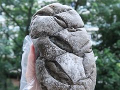 -七叔是岛民(花基新村店)