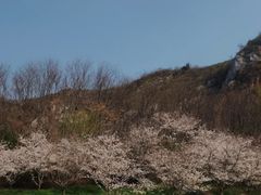 -幕燕滨江·长江观音景区