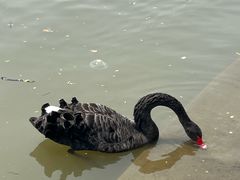 -上海交通大学(闵行校区)