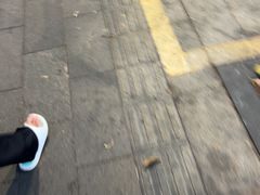 -蛇口康乐快餐鱼仔档(翠苑小区店)