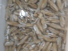 -宾朋海鲜特色美食餐厅·纯手工鲅鱼水饺(兴海路店)