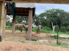 -清迈夜间动物园