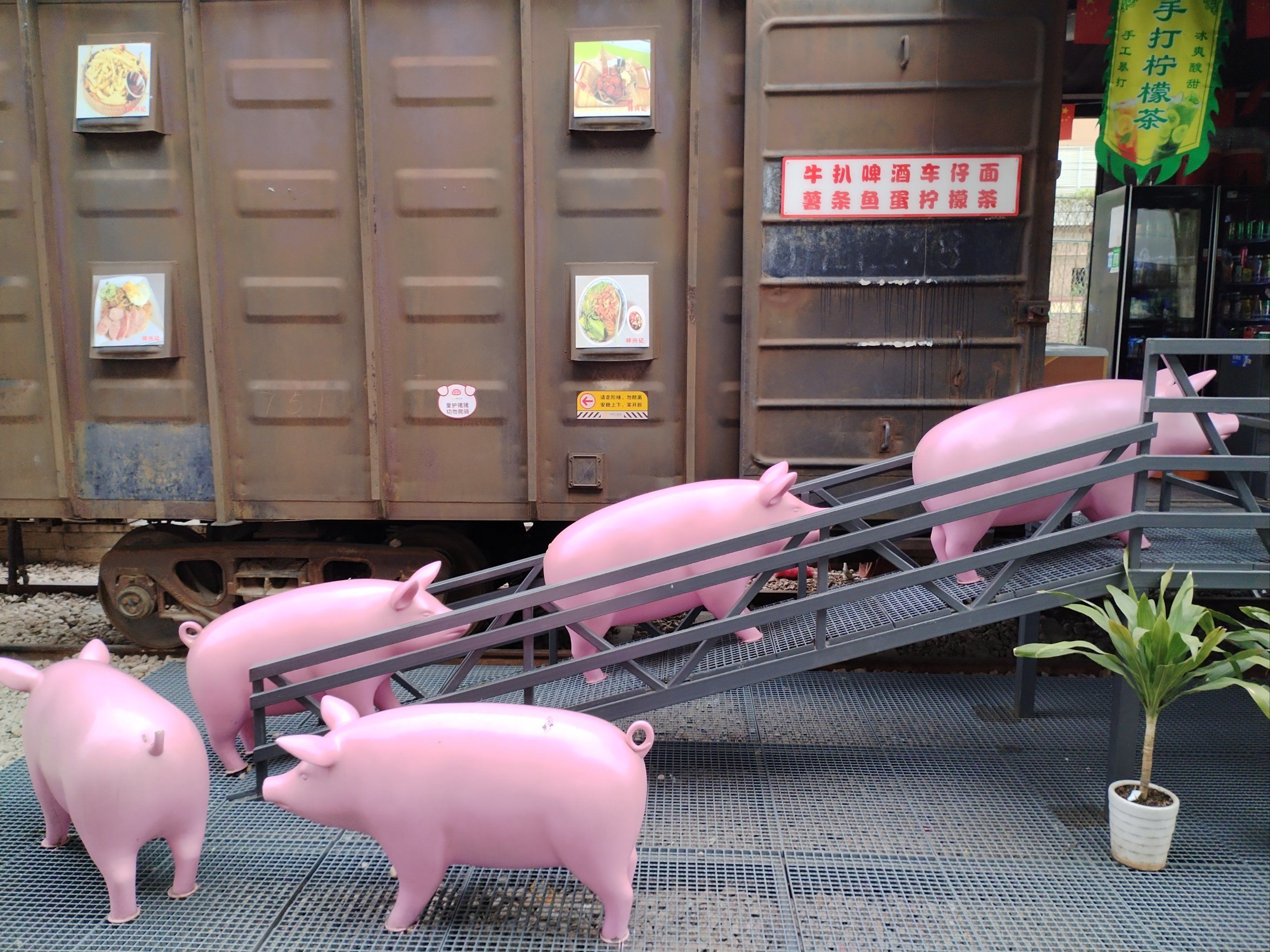 草埔铁路公园粉猪猪车!