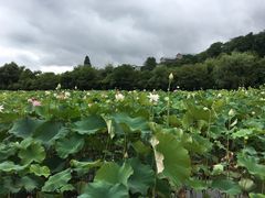 -贵阳市花溪国家城市湿地公园