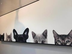 -吃饼人西餐(南开店)