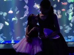 -海合安成都极地海洋公园