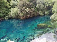 -黄龙山原始森林景区