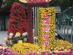 -上海共青森林公园