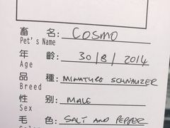 -申普宠物医院·心脏介入·心血管微创(总院)