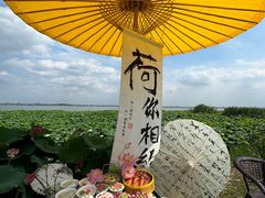-七的湖·晚芳亭·阳澄湖农家菜·大闸蟹(莲花岛店)
