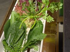 -南门四季铜锅涮肉(大屯·北苑店)