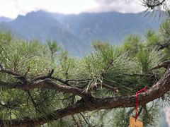 -陕西省红河谷森林公园