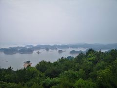 -全乐鱼馆·淳牌有机鱼直营店