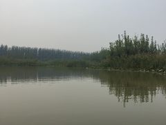 -白洋淀景区
