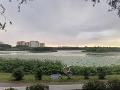 -丁香湖公园