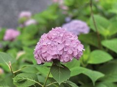 -常州古运河南大街文化旅游区-人民公园