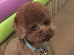 -艾贝尔宠物医院·狂犬免疫点(江山金象城店)