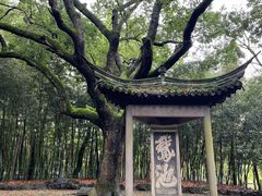 -兰亭风景区