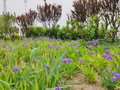 -东疆建设开发纪念公园
