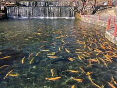 -丽江玉水寨