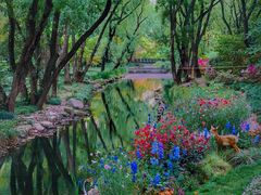 -上海共青森林公园