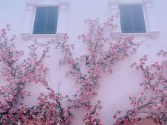 -普吉镇