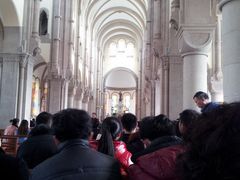 -上海佘山国家森林公园西佘山园