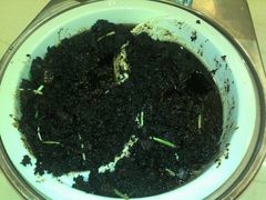 这是什么，这么黑的！能吃吗-上海如意智慧酒店(上海科学院店)