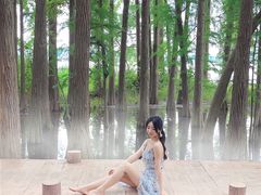 -东湖落雁景区