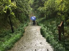 -梦姑塘文化公园
