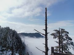 -瓦屋山景区