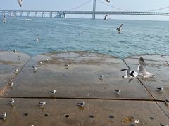 -星海广场