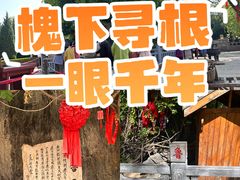 -大槐树寻根祭祖园